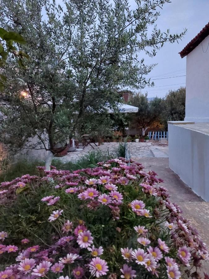 Vila Rafael Εξαμίλιο Εξωτερικό φωτογραφία